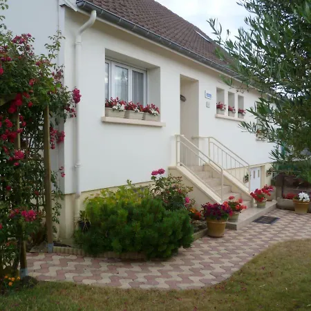 L 'olivier Courseulles-sur-Mer
